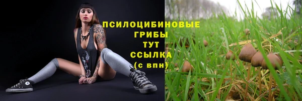 круглые Беломорск