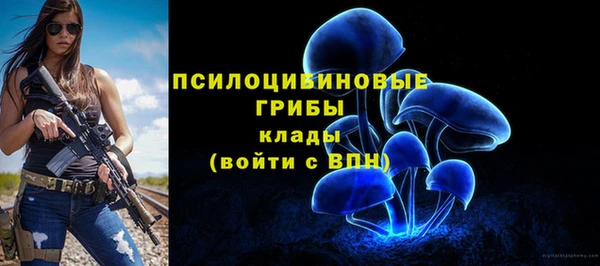 мяу мяу кристалл Богданович