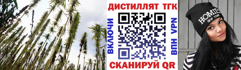 ТГК THC oil  Волосово 