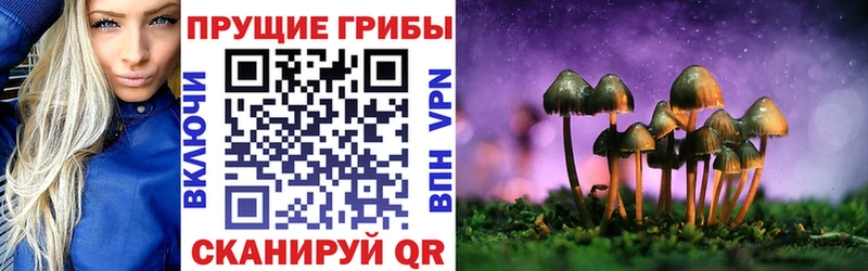 наркота  Волосово  Галлюциногенные грибы Magic Shrooms 